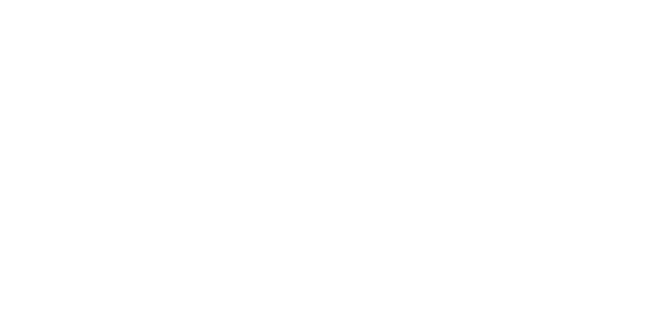 Dorsia financial services logo