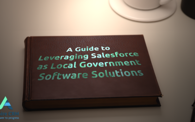 A Comprehensive Guide to Leveraging Salesforce as Local Government Software Solutions