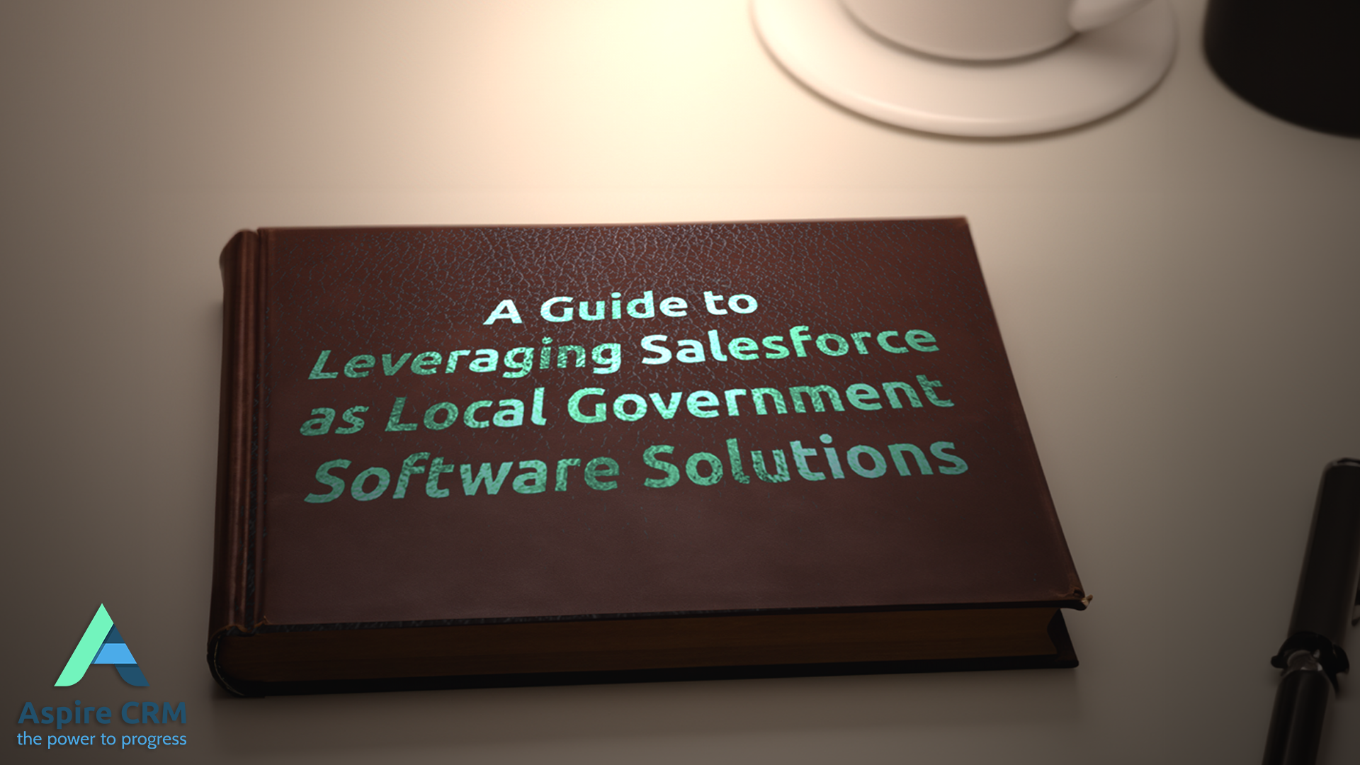 Local Government Software Solutions Guide