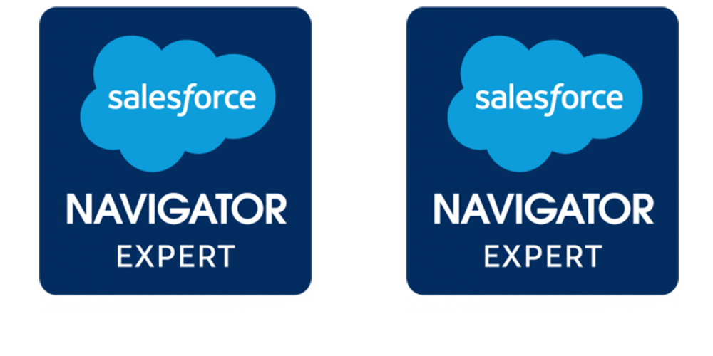 Salesforce Sales Cloud & Experience Cloud Expert 