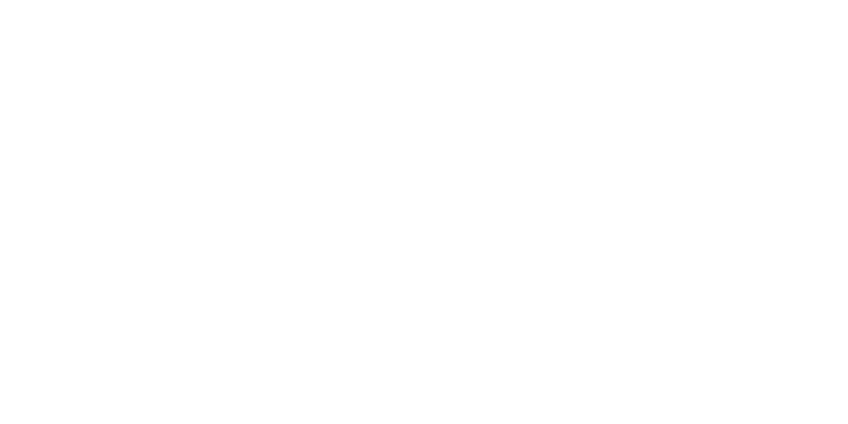 4secure logo