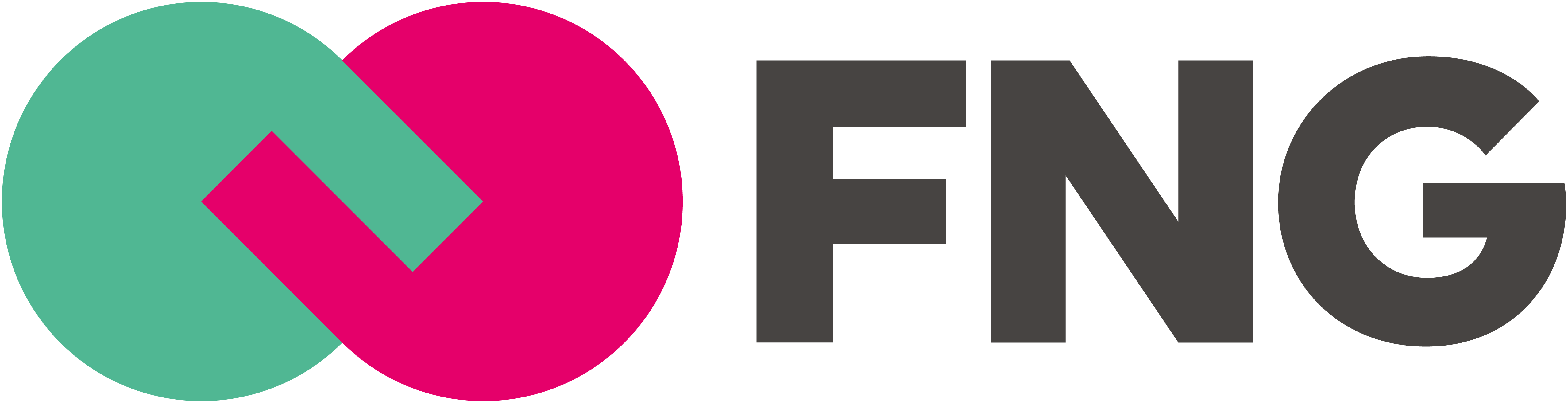 FNG logo