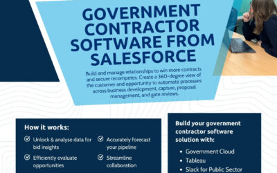 Government Contractor Software