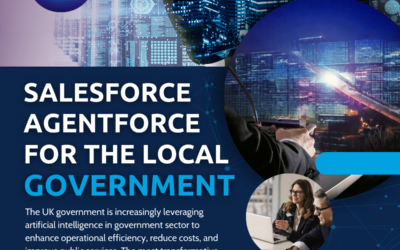 Artificial Intelligence in Government Sector: Salesforce Agentforce